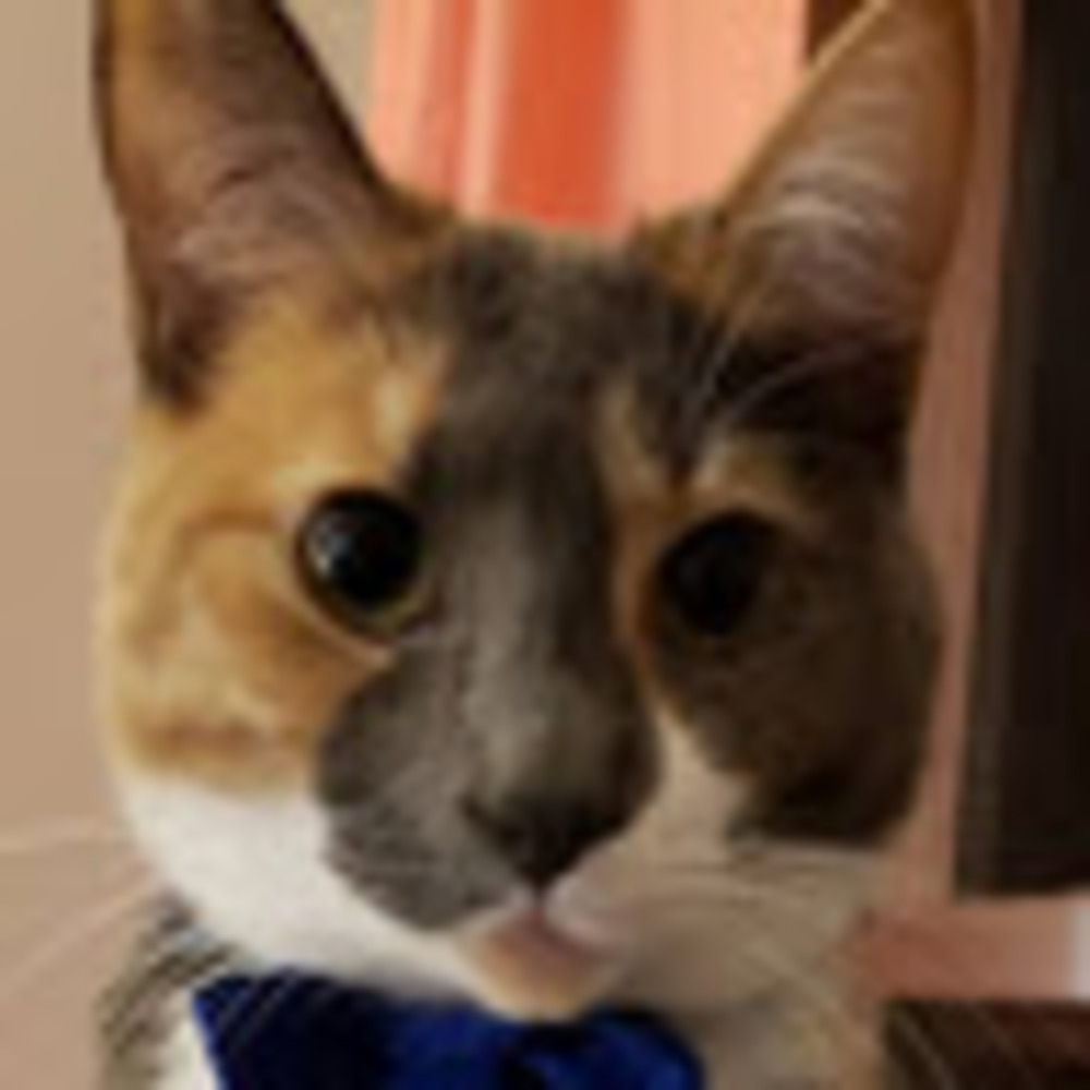 Meet your Posher, Kaylee